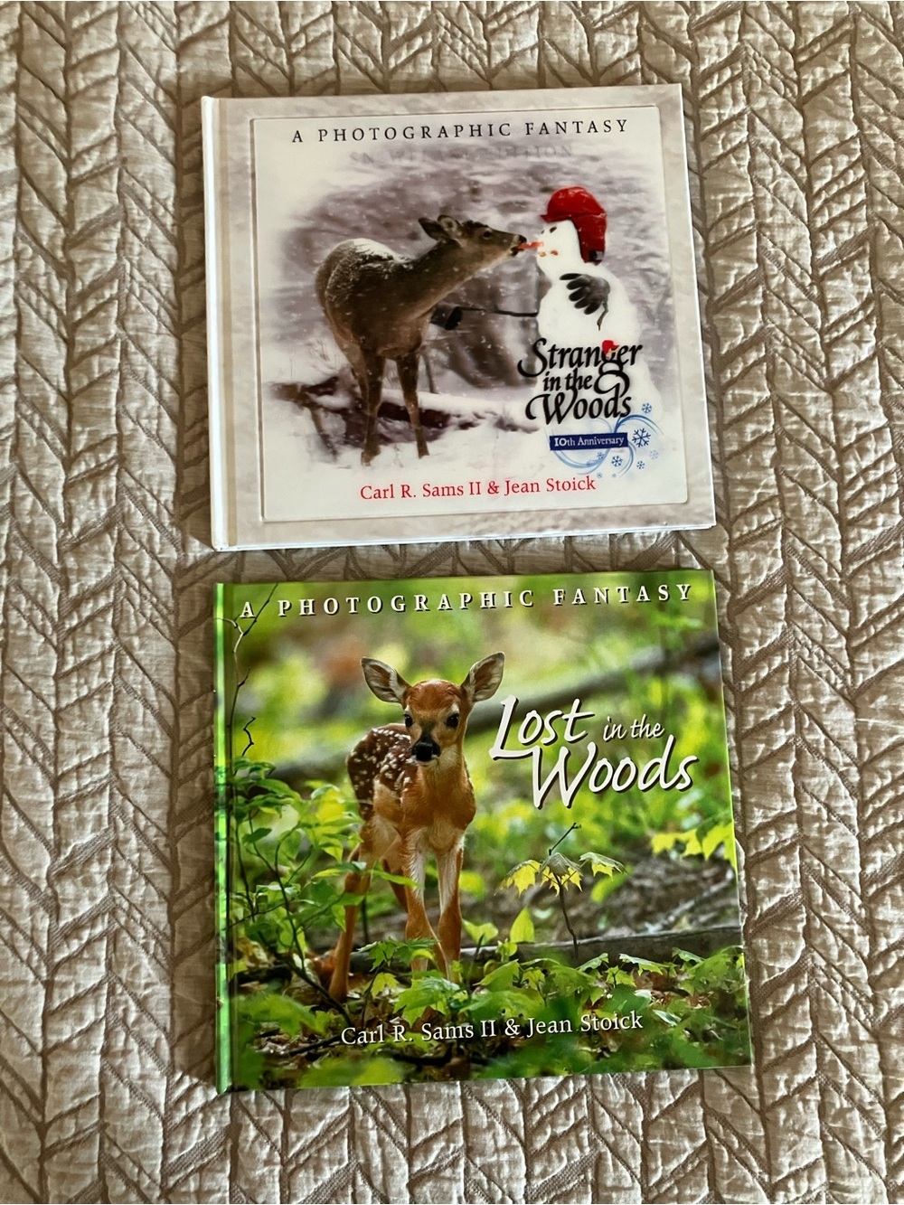 🌟 3 for $12 • Lost in the Woods & Stranger in the Woods kid book bundle